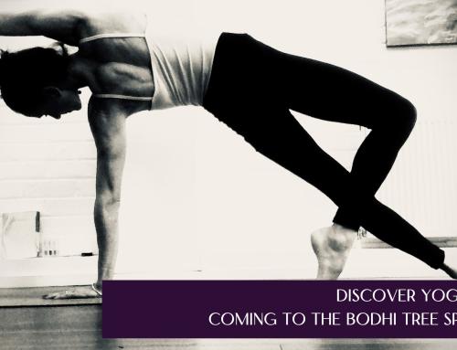 Yoga Classes for Mind, Body, and Spirit